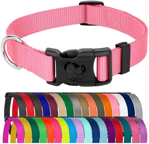 Country Brook Petz - Everyday Nylon Dog Collar for Large, Medium, and Small Dogs and Puppies - for Everyday Use in 30+ Colors (Extra Large, 1 Inch Wide, Pink)