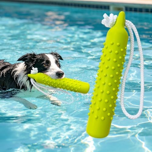 BINGPET Dog Float Bumper Toy,10.8" Lightweight Bumper for Water Fetch Outdoor,Floating Dog Water Toys for Medium Large Dogs,Fetch Rope Pet Toy Dock Diving Retrieving Dummy for Pool/Beach/Lake