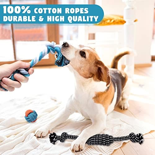 Dog Toys Small Dog Chew Toys Dog Teething Toys Squeaky Toys Chihuahua Pomeranian Corgi and PoodlesToys 6 PCS