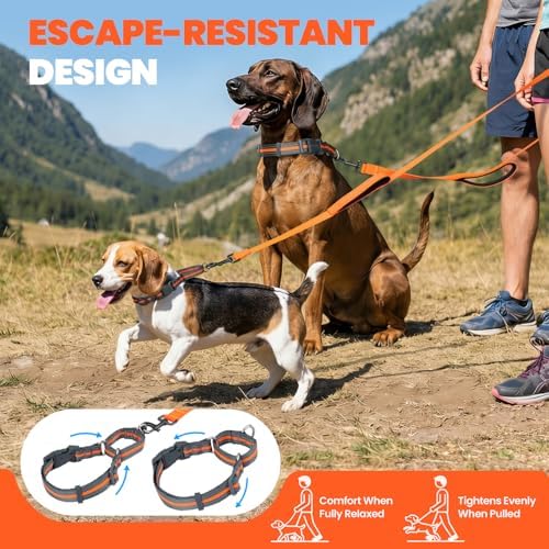 VIVAGLORY Double Handle Dog Leash Twingrip, 5ft x 1in, L, Orange Grey