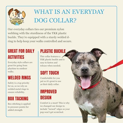 Country Brook Petz - Everyday Nylon Dog Collar for Large, Medium, and Small Dogs and Puppies - for Everyday Use in 30+ Colors (Extra Large, 1 Inch Wide, Bright Red)