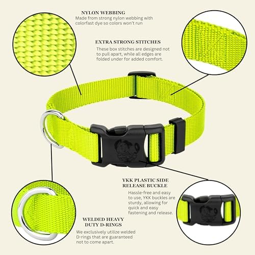 Country Brook Petz - Everyday Nylon Dog Collar for Large, Medium, and Small Dogs and Puppies - for Everyday Use in 30+ Colors (Small, 3/4 Inch Wide, Hot Yellow)