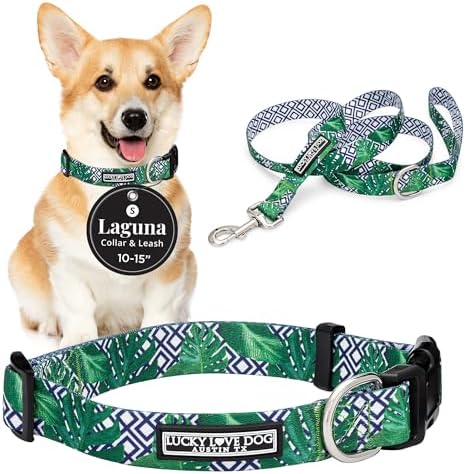 Lucky Love Dog Collar and Leash Set for Small Dogs – Blue Laguna, Small