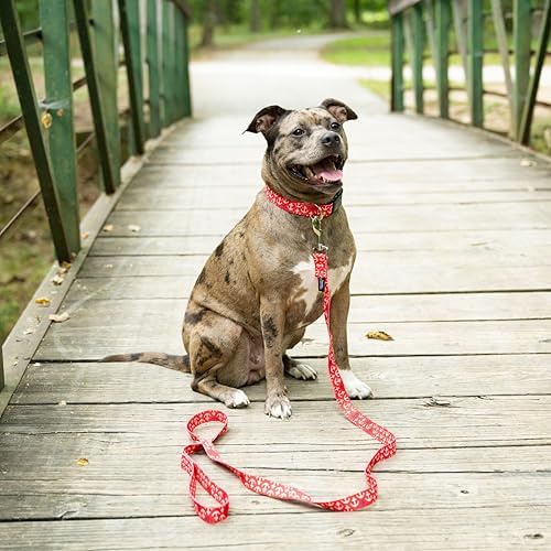 Country Brook Petz - Red Anchors Away Everyday Dog Leash Limited Edition - Summer Breeze Collection Featuring Sunny Designs (4 Foot, 1/2 Inch Wide)