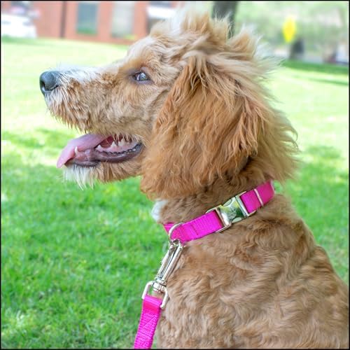 Country Brook Petz - Premium Nylon Dog Collar with Metal Buckle for Small Medium Large Breeds - 30+ Colors (Extra Large, 1 Inch, Fuchsia)
