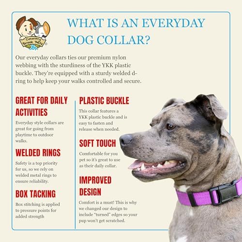 Country Brook Petz - Everyday Nylon Dog Collar for Large, Medium, and Small Dogs and Puppies - for Everyday Use in 30+ Colors (Extra Large, 1 Inch Wide, Bright Purple)