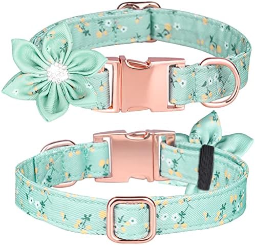 Floral Dog Collar With Detachable Rhinestone Flower for Female Puppies - Small, Medium, Large (M, Green)