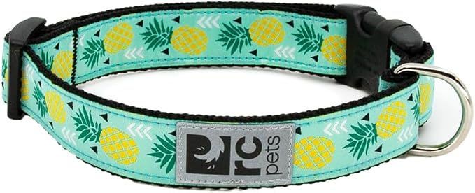 RC Pets 1 Inch Adjustable Dog Clip Collar, Large, Pineapple Parade