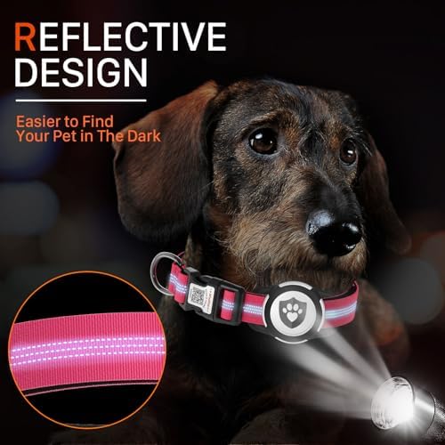 Waterproof AirTag Dog Collar with QR Code Dog Tag, Rose Red XS