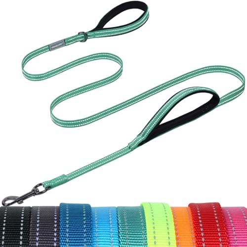 VIVAGLORY Double Handle Dog Leash Twingrip, 4ft x 1/2in, Turquoise
