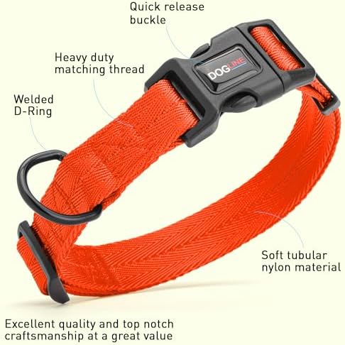 Dogline Orange Nylon Collar (W: 3/4" L: 13"-20")