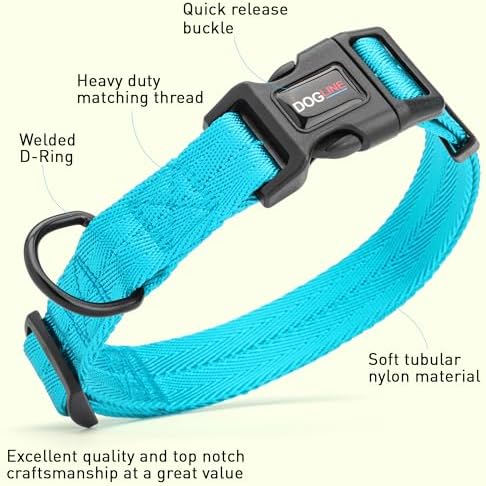 Dogline Cyan Blue Nylon Collar (W: 5/8" L:11"-16")