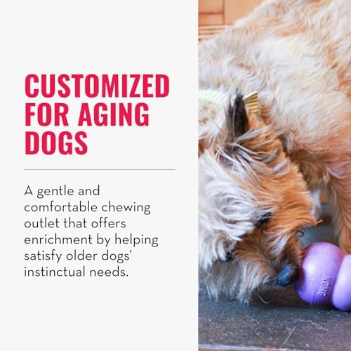 KONG Senior, Gentle Natural Rubber Stuffable Dog Toy, for Large Dogs