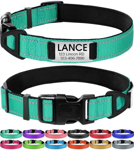 Joytale Personalized Dog Collar with Name Plate Built-in for Medium Dogs