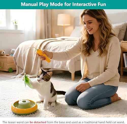 Detachable Interactive Cat Toy | Handheld Teaser Wand/Floor Play Dual-Use, Indoor Cat Toy