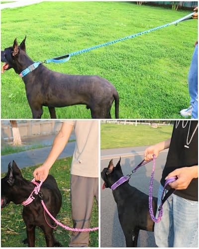 AUBELL Reflective Tactical Heavy Duty Dog Leash and Collar Set,Blue M