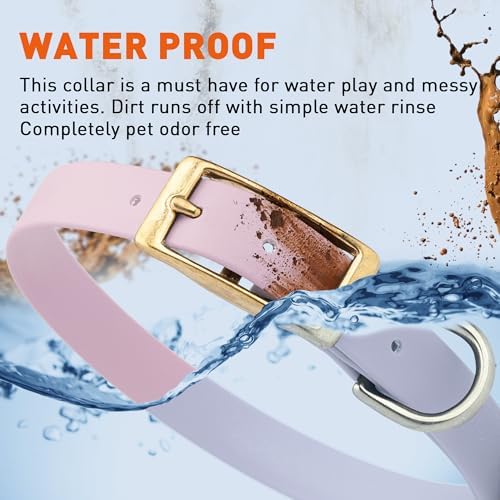 Viper Biothane Heavy Duty Waterproof Dog Collar Strong Coated Nylon Webbing w/Solid Brass Hardware Odor-Proof for Easy Care to Clean High Performance Fits Small Medium or Large Dogs, Pastel Purple
