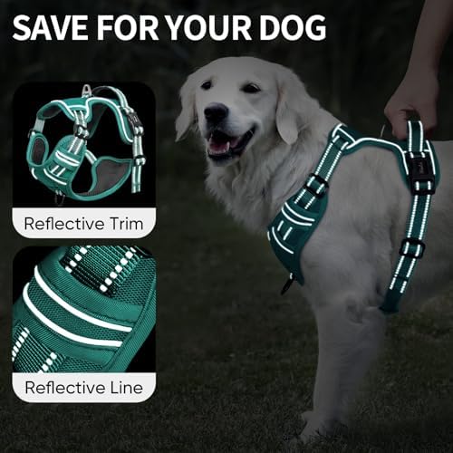 HEELE Dog Harness for Large Dogs No Pull Dog Vest Harness for Large Dog with Soft Padded Handle Reflective for Outdoor Training, Grass Green, XL