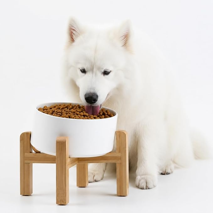 Petygooing White Elevated/Raised 15°Slanted Ceramic Dog Bowl for Small and Medium Breeds, Tilted Anti Slip Pet Feeding Bowl,Food Water Dish with Stand for Cats and Dogs (28 OZ/3.6 Cups)