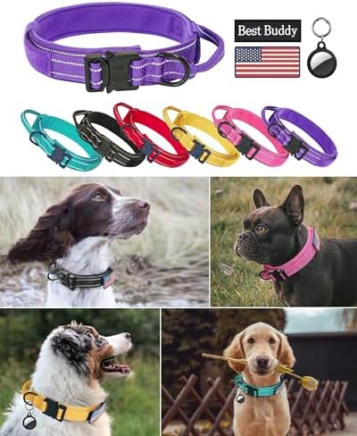 AUBELL Reflective Tactical Heavy Duty Dog Collar with Handle,Purple L