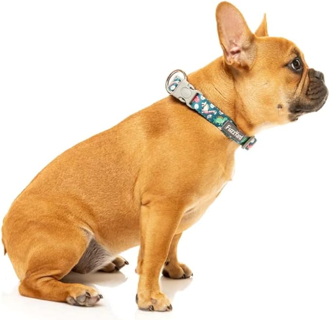 FuzzYard Dinosaur Land Dog Collar | Size M | Comfortable Neoprene Pet Collar for Everyday Walking & Training | Ideal Fit for Medium Dogs