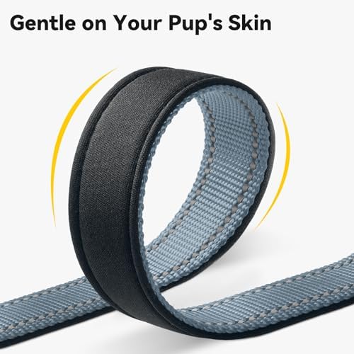 Joytale Personalized Dog Collar with Name Plate Built-in for XSmall Dogs