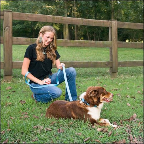 Country Brook Petz - Everyday Nylon Dog Collar for Large, Medium, and Small Dogs and Puppies - for Everyday Use in 30+ Colors (3XS, 3/8 Inch Wide, Ice Blue)