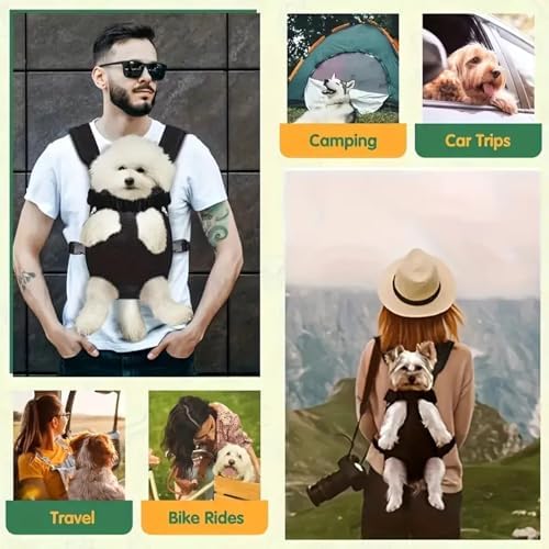 HEEPDD Pet Carrier Backpack, Legs Out Front Cat Dog Carrier, Lightweight Soft Mesh Breathable Bag for Walking Hiking, Small