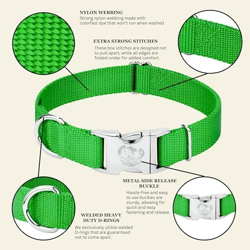 Country Brook Petz - Premium Nylon Dog Collar with Metal Buckle for Small Medium Large Breeds - 30+ Colors (Extra Large, 1 Inch, Hot Lime Green)