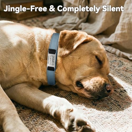 Joytale Personalized Dog Collar with Name Plate Built-in for Medium Dogs