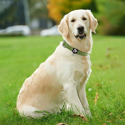 azuza Reflective Dog Collar, Neoprene Padded Large Dog Collar, Army Green L