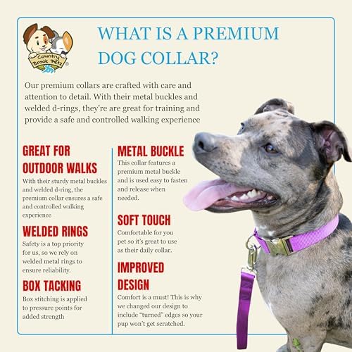 Country Brook Petz - Premium Nylon Dog Collar with Metal Buckle for Small Medium Large Breeds - 30+ Colors (Small, 3/4 Inch, Bright Purple)