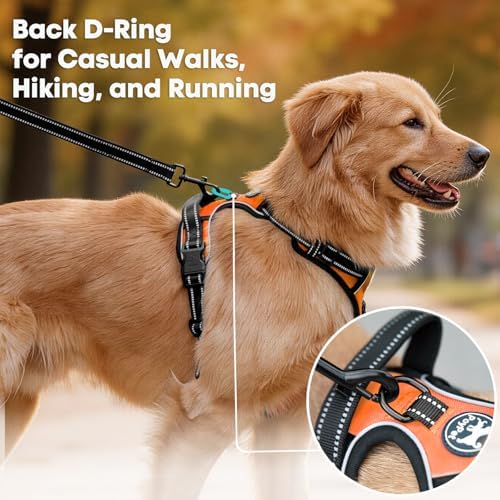 PoyPet No Pull Dog Harness Small, Reflective Vest with Front Clip & Handle