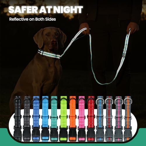 VIVAGLORY Double Handle Dog Leash Twingrip, 5ft x 1in, L, Turquoise