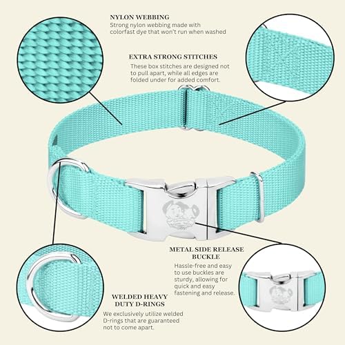 Country Brook Petz - Premium Nylon Dog Collar with Metal Buckle for Small Medium Large Breeds - 30+ Colors (Large, 1 Inch, Light Cyan)