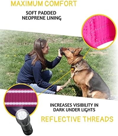 ADITYNA Heavy Duty Pink Dog Collar for Medium Dogs with Traffic Handle