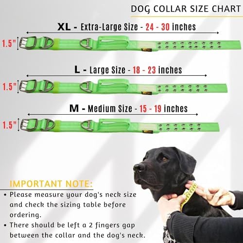 ADITYNA Heavy Duty Dog Collar for Extra-Large Dogs with Traffic Handle