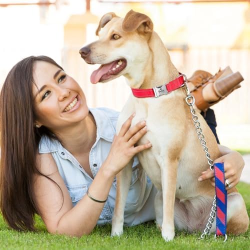 Silent Dog Collar Personalized with Name Phone Number Laser Engraved