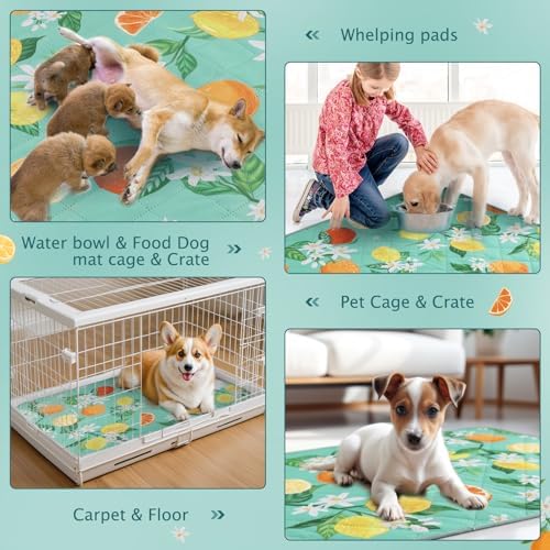 BVAGSS Washable Pee Pads for Dogs, 2 Pack Reusable Leakproof Puppy Wee Wee, Non-Slip Waterproof Pet Training, Super Absorbent Whelping XH081 (Green Lemon, 42X28 Inch)