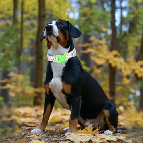 Female Dog Collar for Small Dogs with Flowers for Girl Dogs(Flowers S)