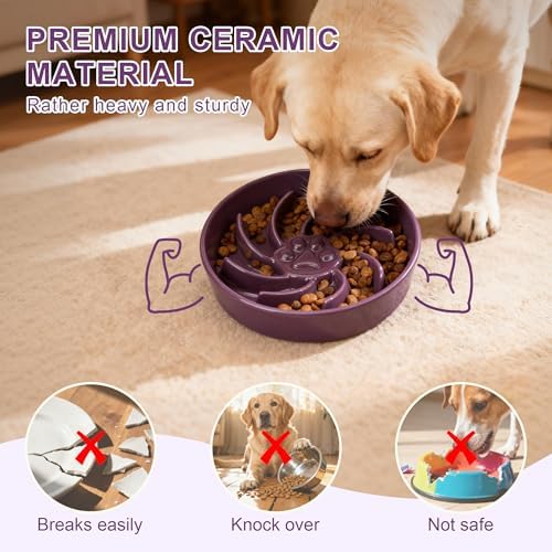 Ceramic Slow Feeder Dog Bowl, 3 Cup Dog Food or 25oz Water, Slow Eating Bowl for Middle Breed, Maze Puzzle Feeder for Fast Eaters, Anti-Choking Stop Bloat, Non-Slip BPA Free (Purple)