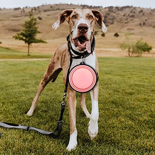 Collapsible Dog Bowls-2 Pack Large Size for Large/Medium Dogs, Pet Travel Water Bowl, Dogs Cat Portable Water Bowl, Dog Pet Feeding Watering Dish Outdoor Hiking Parking Traveling with 2 Carabiners