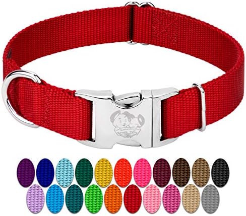 Country Brook Petz - Premium Nylon Dog Collar with Metal Buckle for Small Medium Large Breeds - 30+ Colors (Extra Large, 1 Inch, Red)