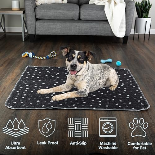 Washable Pee Pads for Dogs - 2-Pack 36” x 41” Reusable Puppy Pads for Dog Potty Training, Whelping, or Crate - Grooming Glove Included - Ultra-Absorbent and Leak-Resistant Dog Pads by PETMAKER (Black)