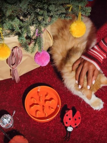 LE TAUCI PET Ceramic Slow Feeder Dog Bowls Small Breed, 0.5 Cups Dog Food Dish for Fast Eaters, Puzzle Bowl for Small Dogs and Cats, 5.5 Inch-Orange