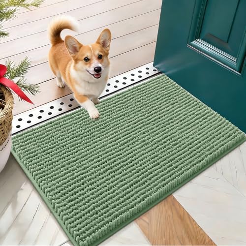 OLANLY Dog Door Mat for Muddy Paws 24x16, Extra Absorbent Chenille Mud Mat