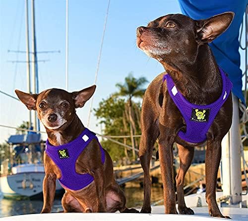 EcoBark Step in Dog Harness, Soft Mesh Body Halter Vest, Purple, Medium