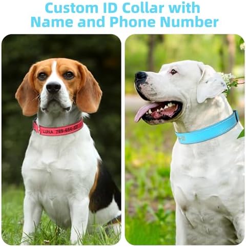 Personalized Dog Collar with Name and Phone Number, Soft Neoprene Padded