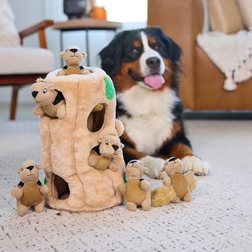 Outward Hound Hide-A-Squirrel Plush Squeaky Dog Toy, XL, 7" x 11.8"