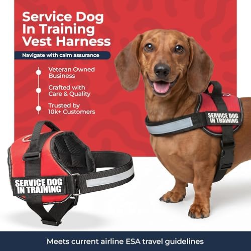 Industrial Puppy Service Dog in Training Vest Harness, XS 16.5-21.5 in Red